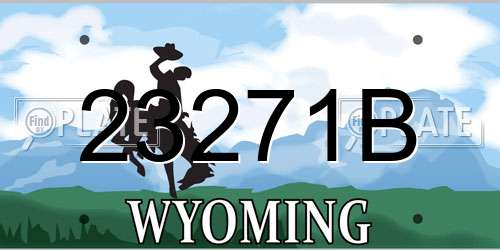 23271B Wyoming License Plate