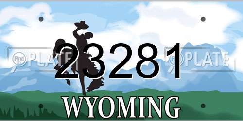 23281 Wyoming License Plate