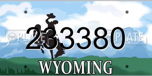 233380 Wyoming License Plate
