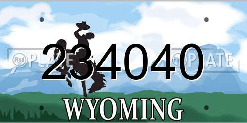 234040 Wyoming License Plate