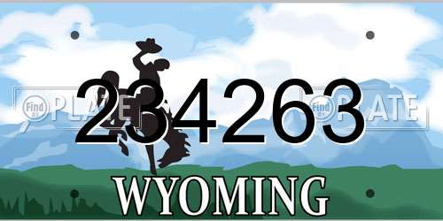 234263 Wyoming License Plate