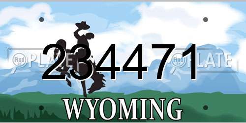 234471 Wyoming License Plate