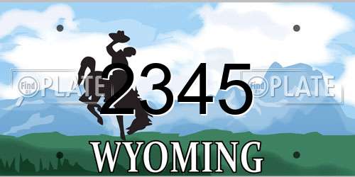 2345 Wyoming License Plate
