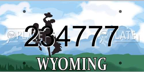 234777 Wyoming License Plate