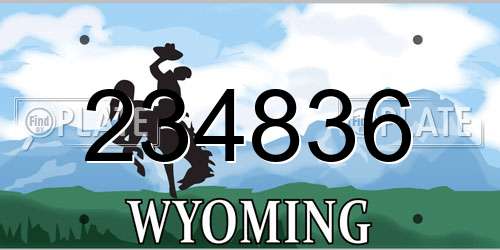 234836 Wyoming License Plate