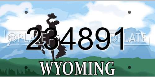 234891 Wyoming License Plate