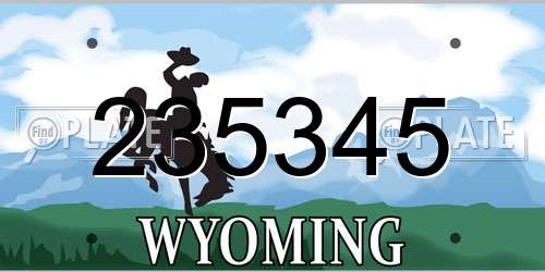 235345 Wyoming License Plate