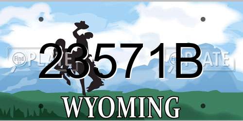23571B Wyoming License Plate
