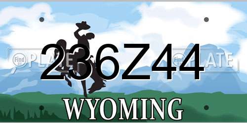 236Z44 Wyoming License Plate