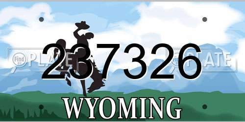 237326 Wyoming License Plate