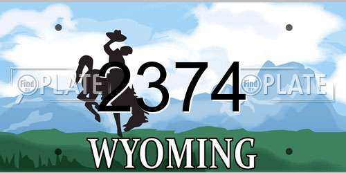 2374 Wyoming License Plate