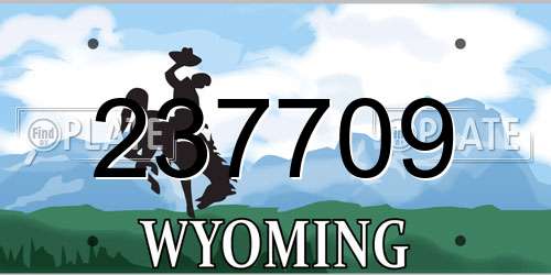 237709 Wyoming License Plate