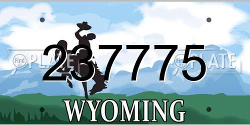 237775 Wyoming License Plate