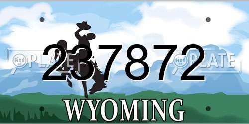 237872 Wyoming License Plate