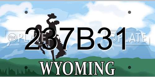 237B31 Wyoming License Plate