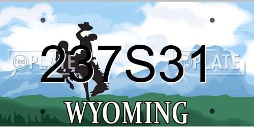 237S31 Wyoming License Plate