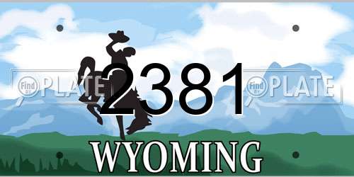 2381 Wyoming License Plate