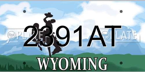 2391AT Wyoming License Plate