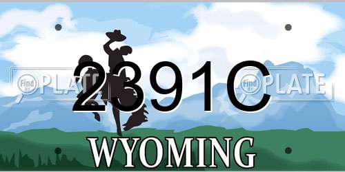 2391C Wyoming License Plate