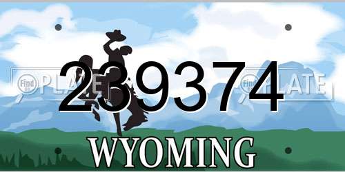 239374 Wyoming License Plate
