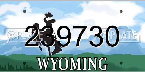 239730 Wyoming License Plate