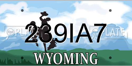 239IA7 Wyoming License Plate