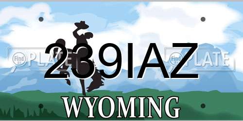 239IAZ Wyoming License Plate
