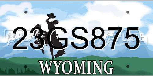 23GS875 Wyoming License Plate