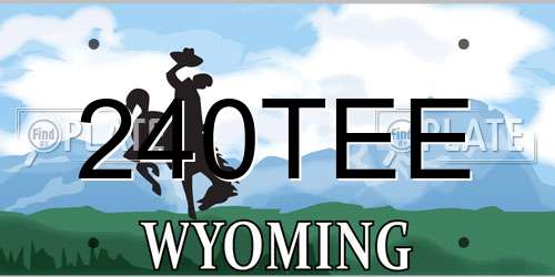 240TEE Wyoming License Plate