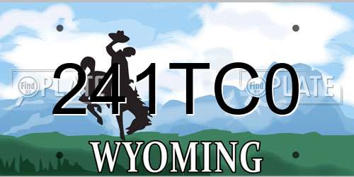 241TC0 Wyoming License Plate