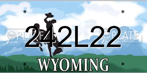 242L22 Wyoming License Plate