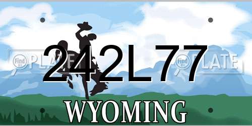 242L77 Wyoming License Plate