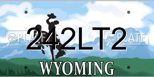 242LT2 Wyoming License Plate