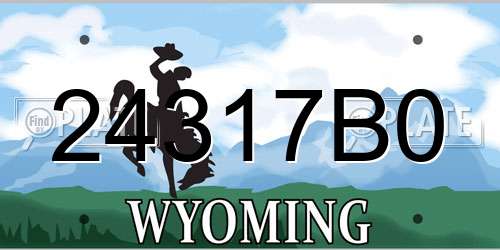 24317B0 Wyoming License Plate