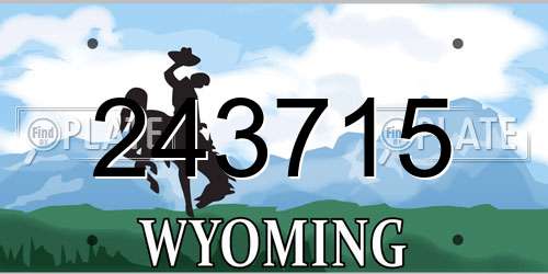 243715 Wyoming License Plate