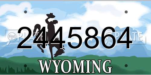 2445864 Wyoming License Plate