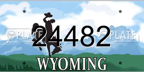 24482 Wyoming License Plate
