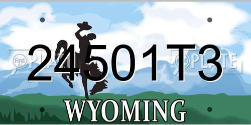 24501T3 Wyoming License Plate