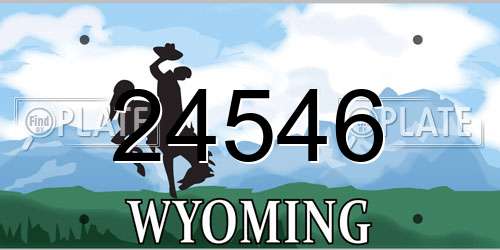 24546 Wyoming License Plate