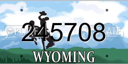 245708 Wyoming License Plate
