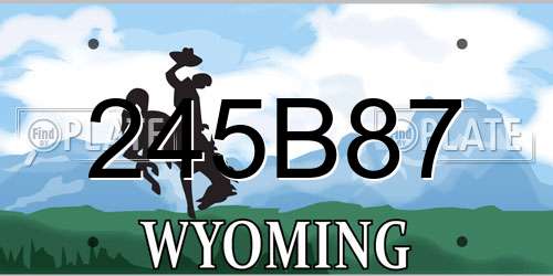 245B87 Wyoming License Plate