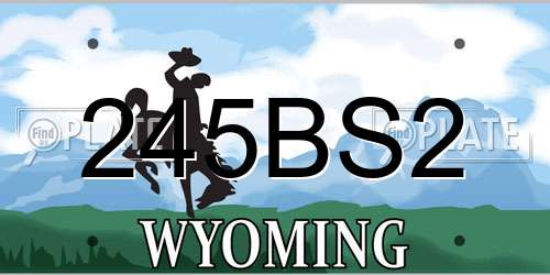 245BS2 Wyoming License Plate