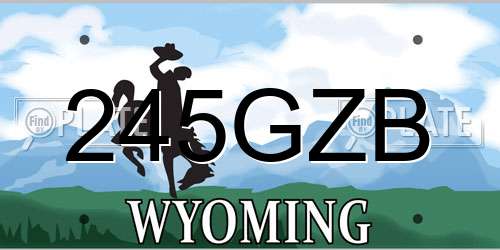 245GZB Wyoming License Plate