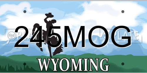 245MOG Wyoming License Plate
