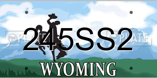 245SS2 Wyoming License Plate