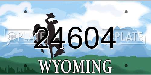 24604 Wyoming License Plate