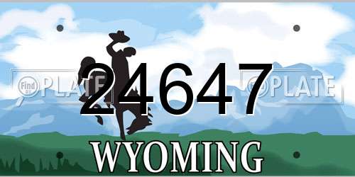 24647 Wyoming License Plate