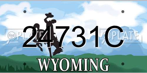 24731C Wyoming License Plate