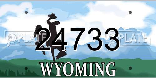 24733 Wyoming License Plate
