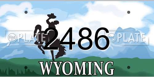 2486 Wyoming License Plate